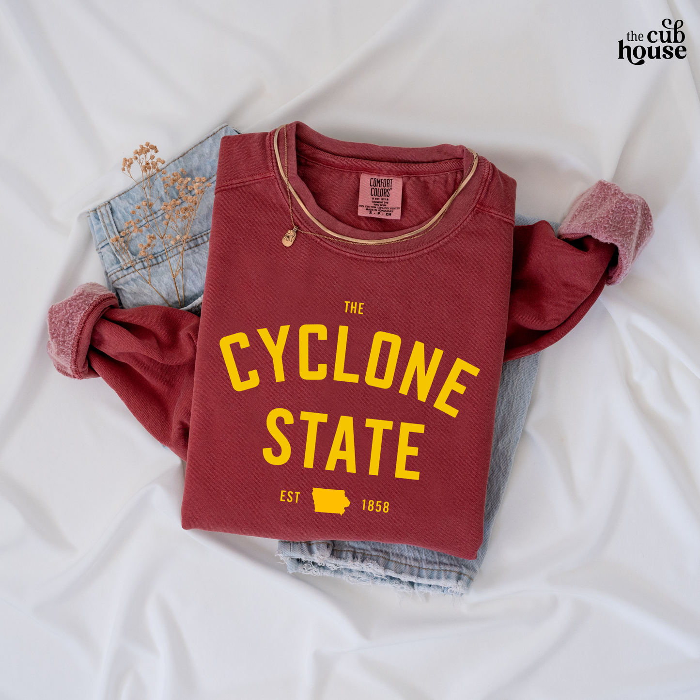 Iowa State • The Cyclone State - gold (0275)