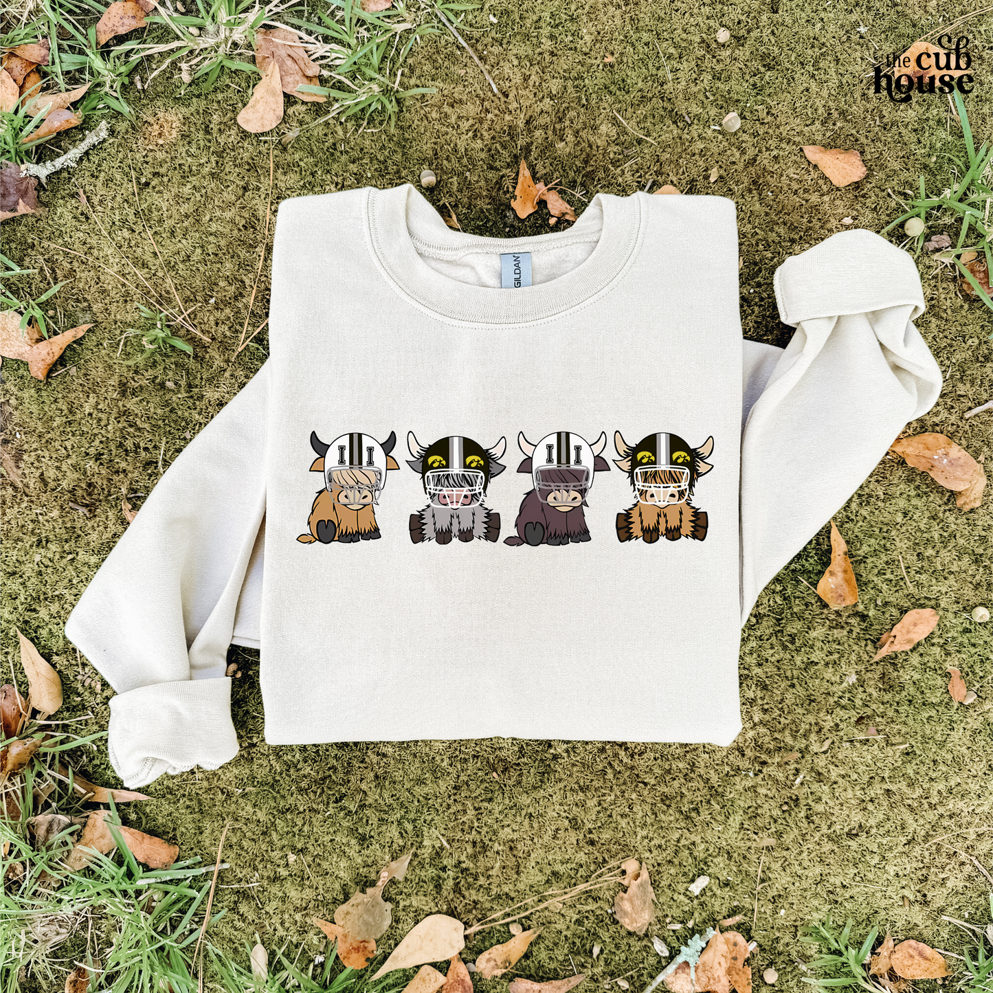 Iowa • Football Cows (0264)