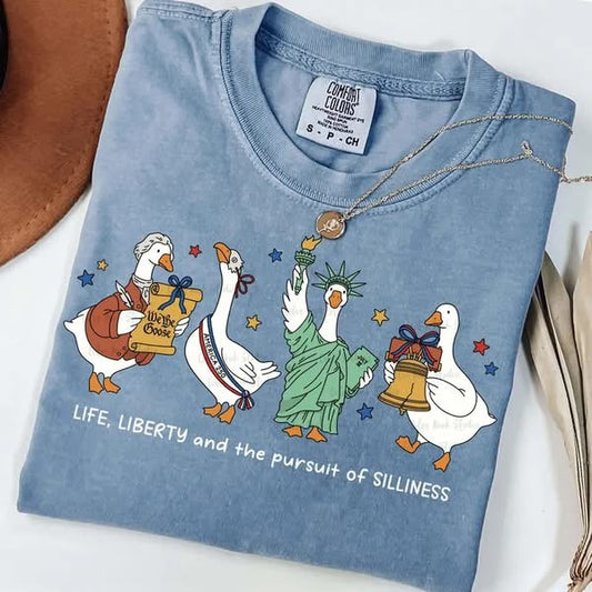 USA • Pursuit Of Silliness