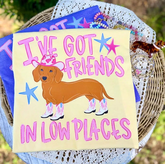 Graphics • I've Got Friends In Low Places
