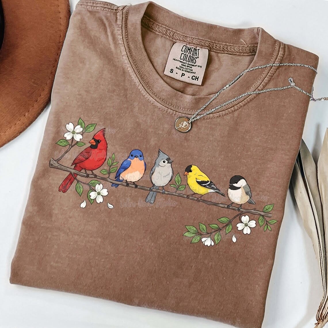 Graphics • Birds