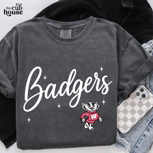 Wisconsin • Badgers Script (0280)