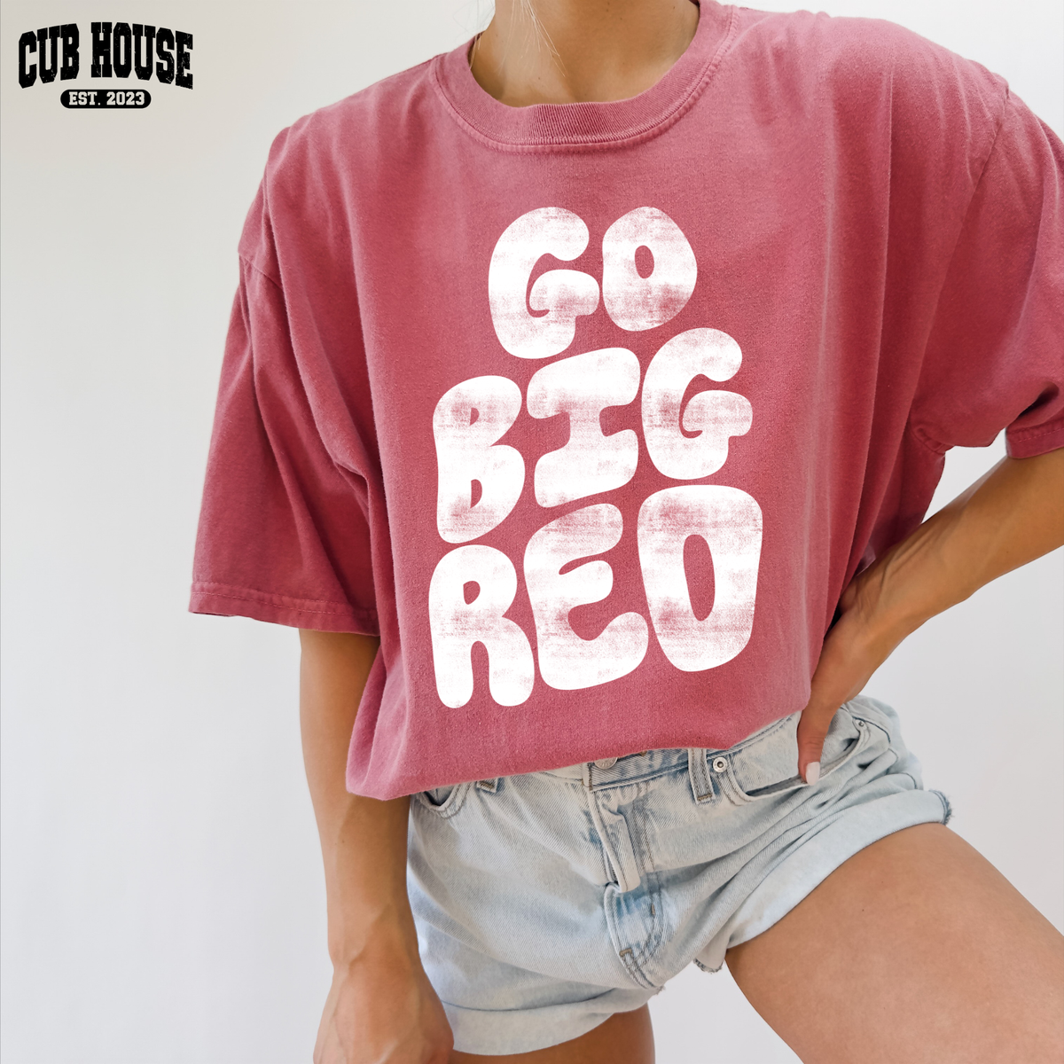 Nebraska •  Go Big Red (white) (0338)